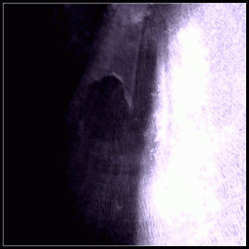 Vrångbild : Crystalline Veil